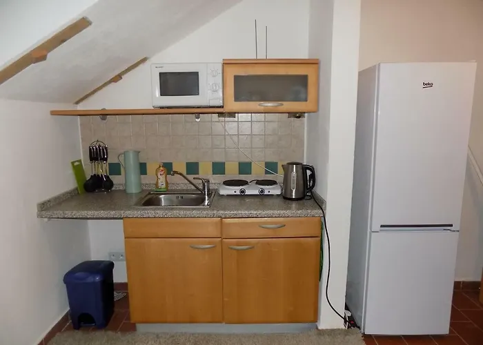 Pod Kaplickou ホームステイ *